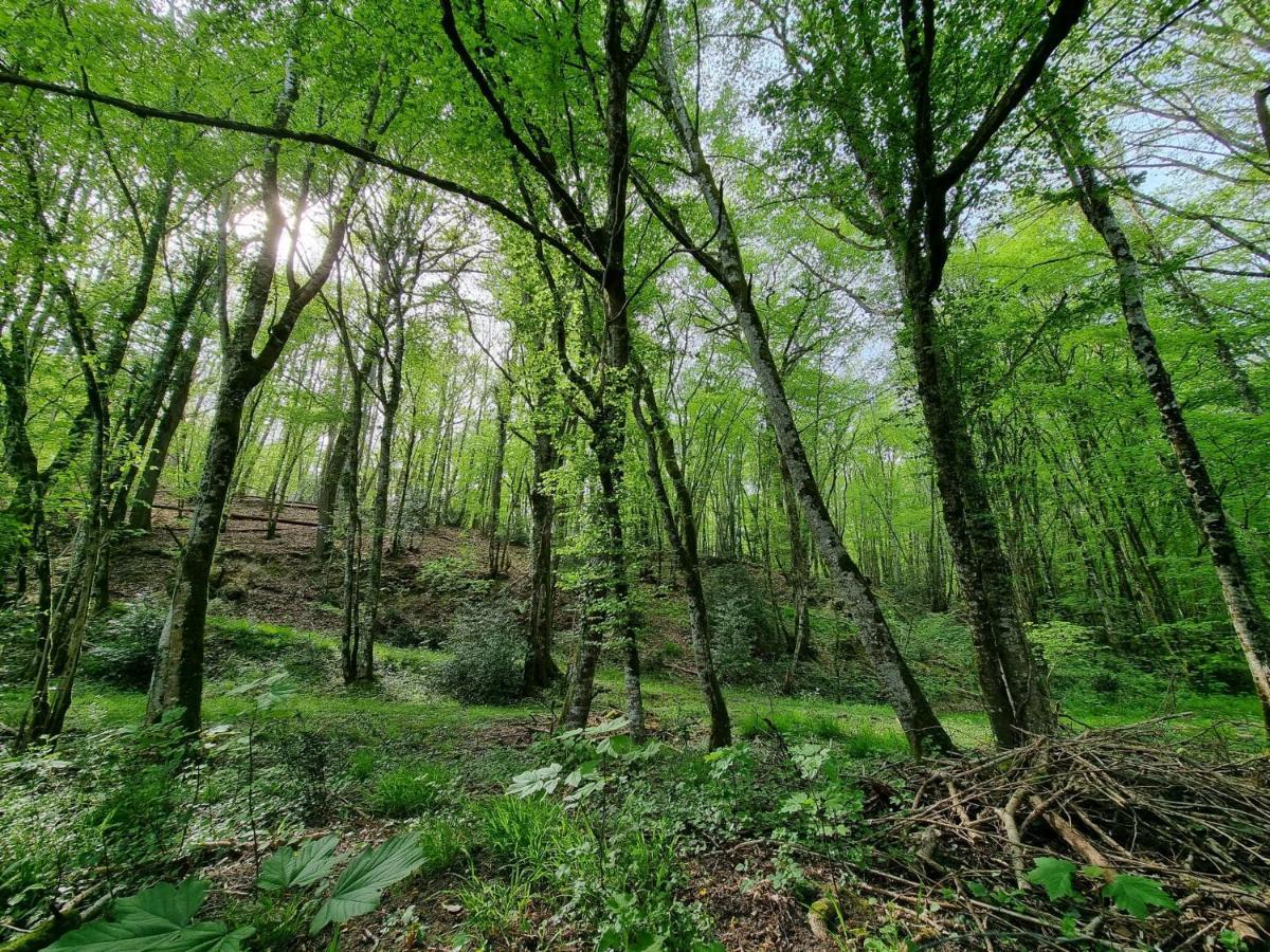 Le Domaine Du Cerf - Gites, Nature Et Spa Saint-Ouen-les-Vignes Esterno foto