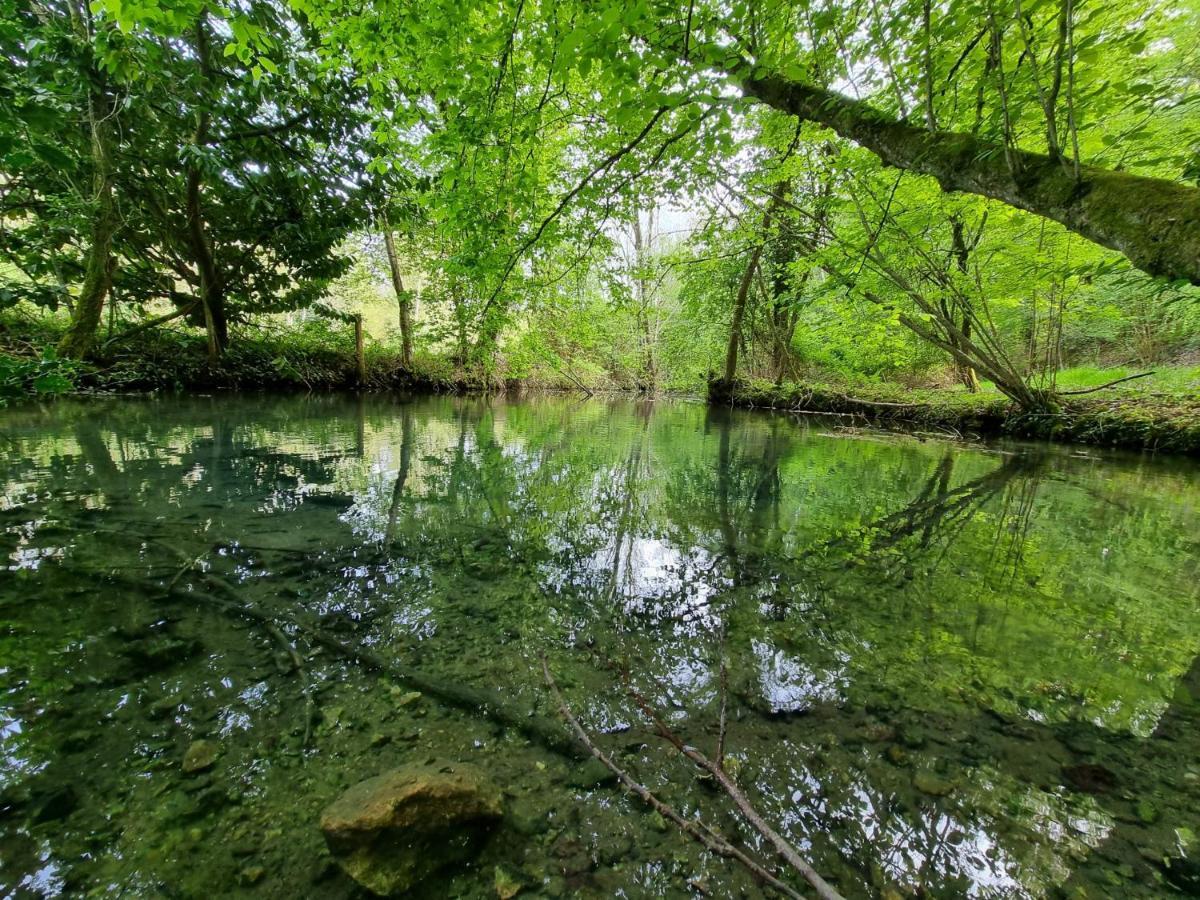 Le Domaine Du Cerf - Gites, Nature Et Spa Saint-Ouen-les-Vignes Esterno foto