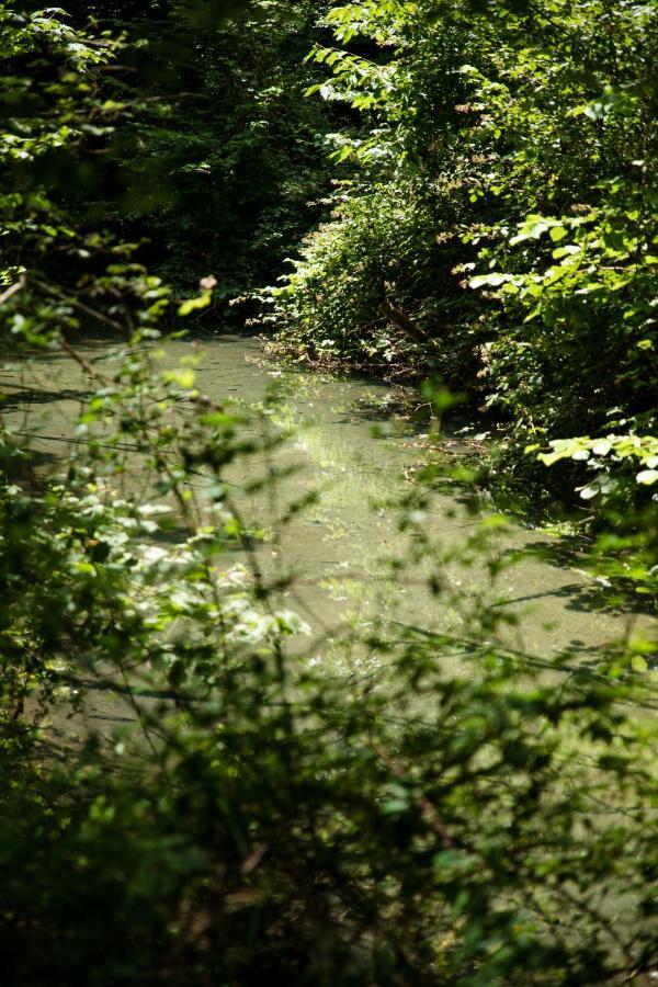 Le Domaine Du Cerf - Gites, Nature Et Spa Saint-Ouen-les-Vignes Esterno foto