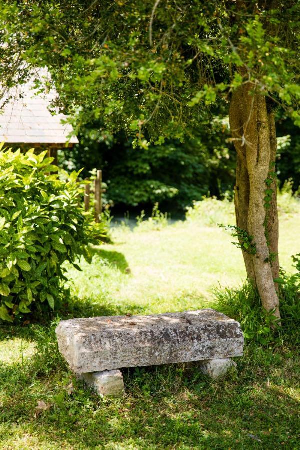Le Domaine Du Cerf - Gites, Nature Et Spa Saint-Ouen-les-Vignes Esterno foto